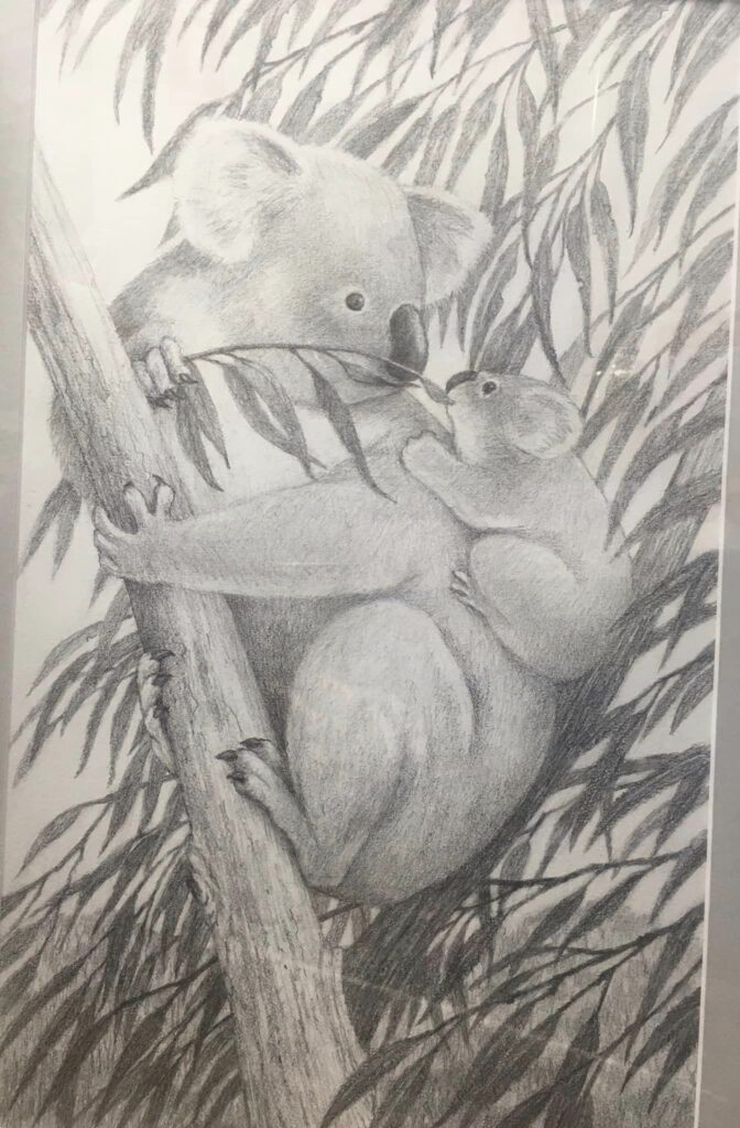Koala