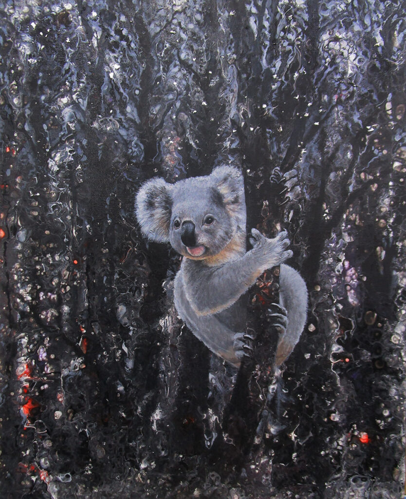 Survivor – Koala