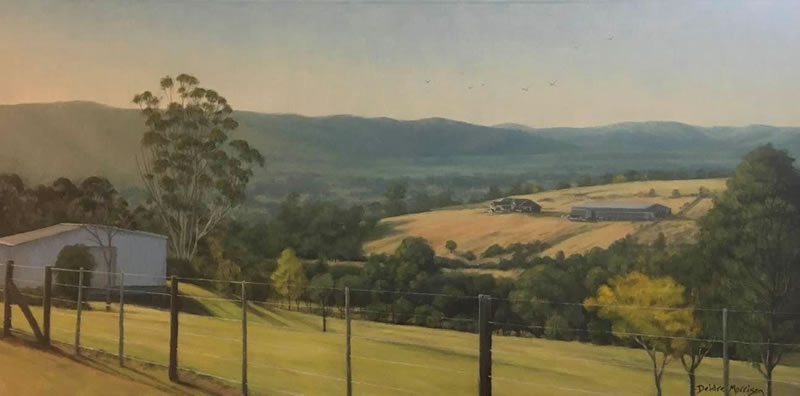 Kurrajong Hillls